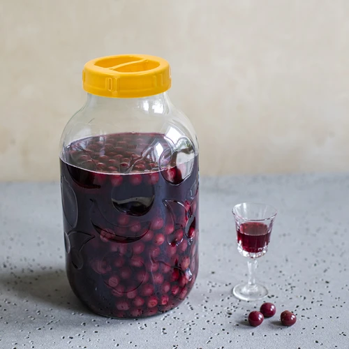 Tarro TO 5 L y tapa de plástico fi 100, con asa - 5