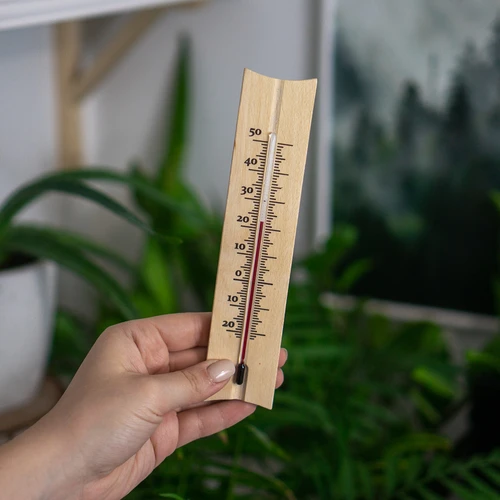 Termómetro de habitación con diseño (-20/50C) 18cm - 3