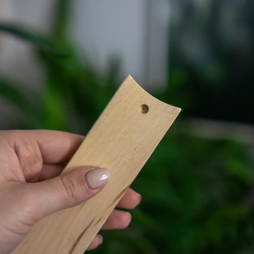Termómetro de habitación con diseño (-20/50C) 18cm - 4