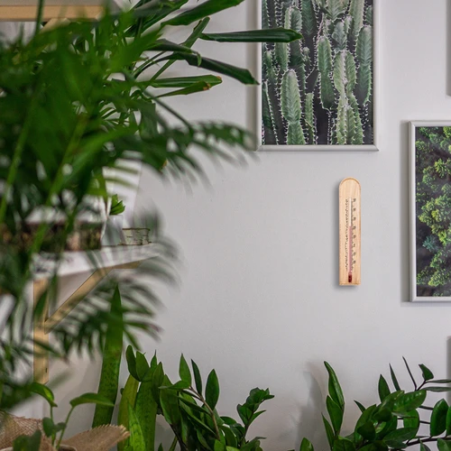 Termómetro de habitación con diseño (-20/50C) 20cm - 5