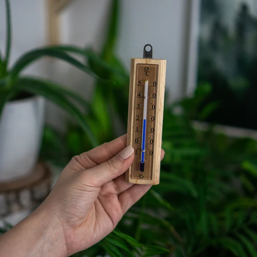 Termómetro de habitación con escala dorada (-10/50C) 12cm - 5