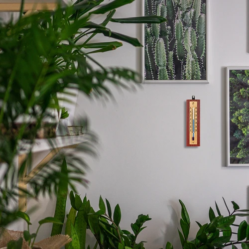 Termómetro de habitación con escala dorada (-10/50C) 12cm - 6