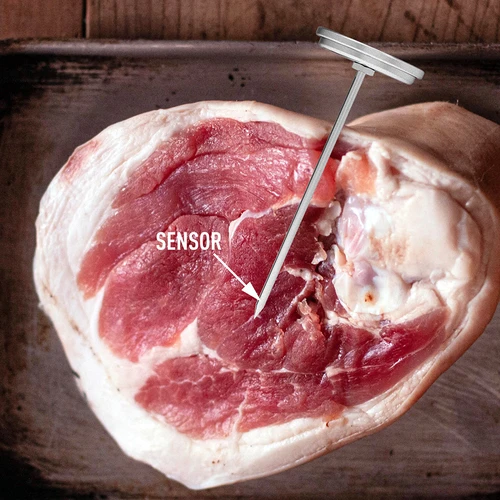 Termómetro para prensa de jamón 0,8 kg (0/120C) 9,0cm - 6