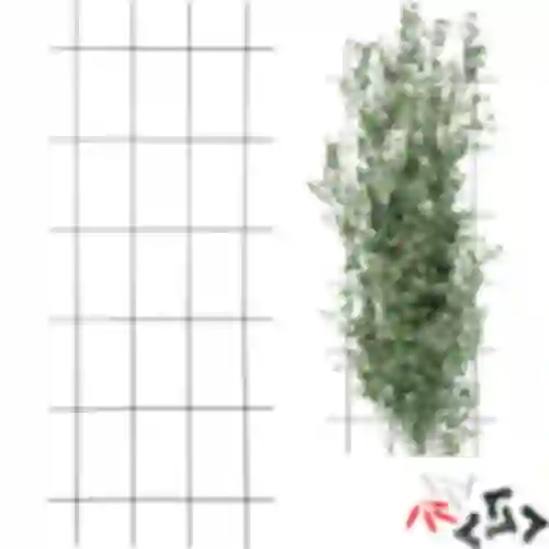 Soporte para plantas – enrejado de jardín 150 x 60cm