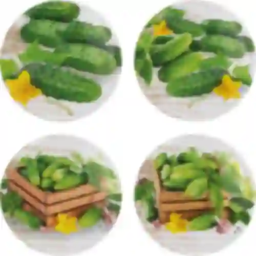 Tapa fi100 pepinos mix - 10uds.