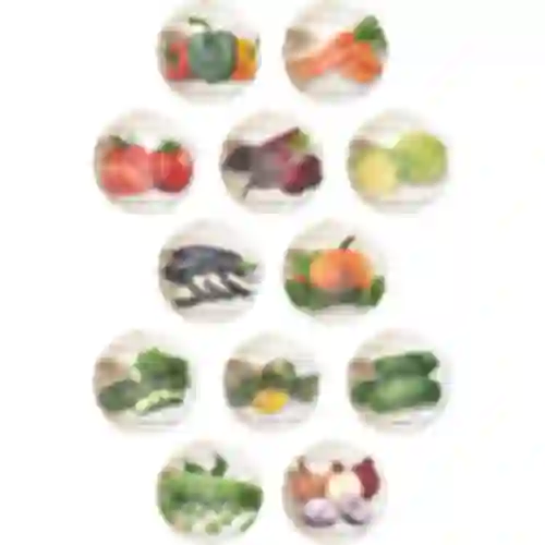 Tapa fi66 fotos de verduras - 10 piezas.