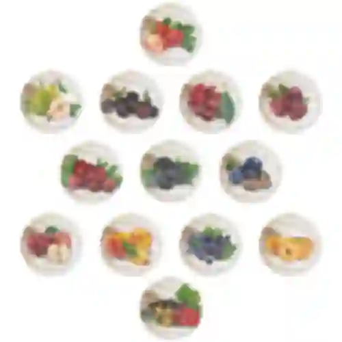 Tapa fi66 frutas - 10uds.