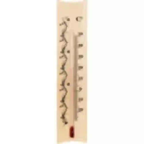 Termómetro de habitación con diseño (-20/50C) 18cm