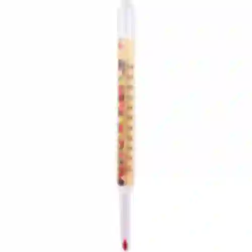 Termómetro para conservas (0/100C) 22cm