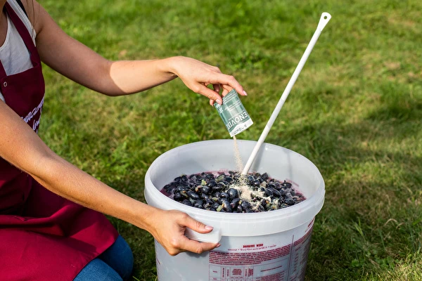 ¿Cómo hacer vino paso a paso?
