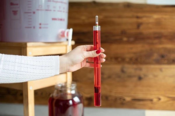 ¿Cómo hacer vino paso a paso?