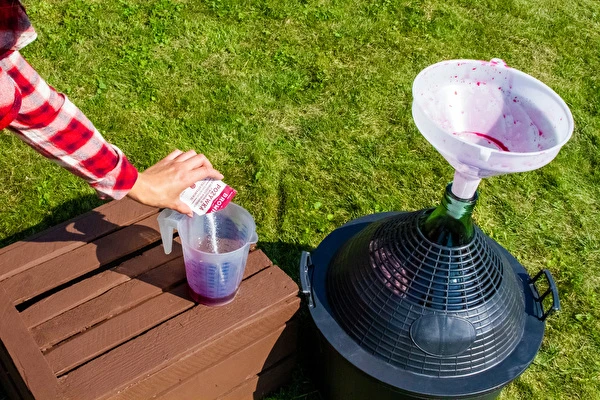 ¿Cómo hacer vino paso a paso?