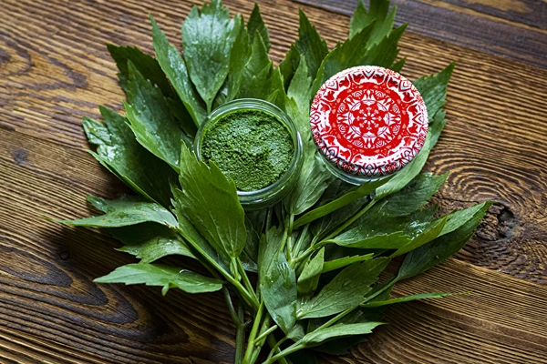 Pasta de levístico — condimento MAGGI casero