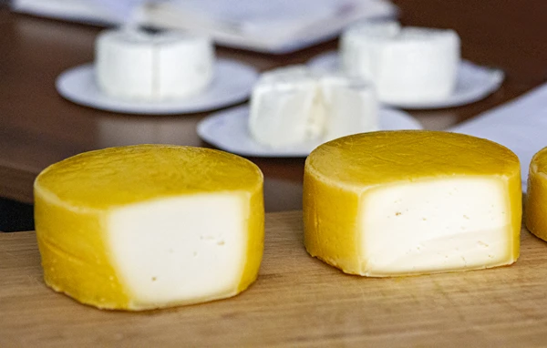 Queso tipo Gouda casero