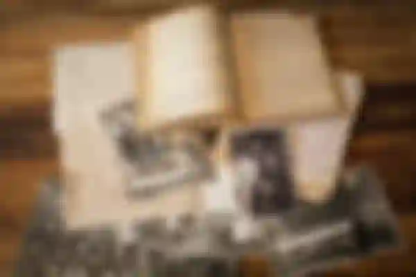 Episodio 1: Tarta de pan integral