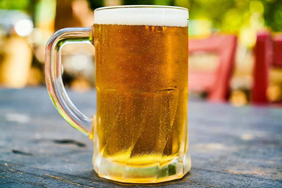 Browin Przepiśnik - Cerveza casera con lupulado en frío