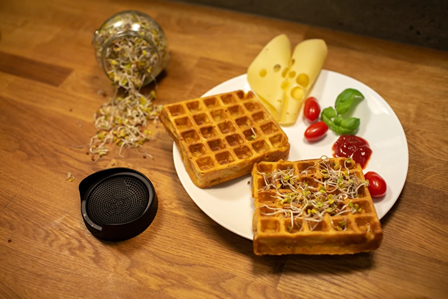 Browin Przepiśnik - Gofres salados