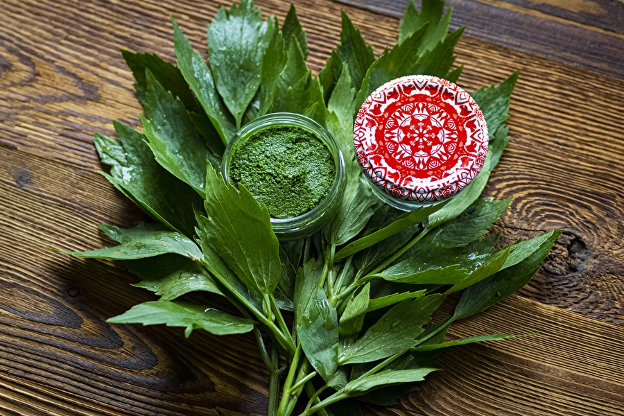 Browin Przepiśnik - Pasta de levístico — condimento MAGGI casero