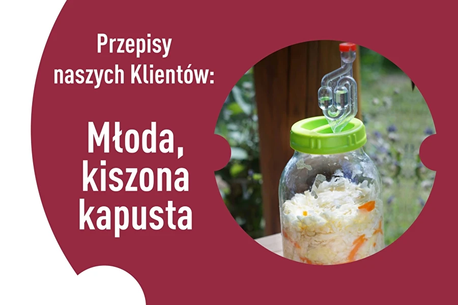 Browin Przepiśnik - Recetas de nuestros clientes: Col joven fermentada