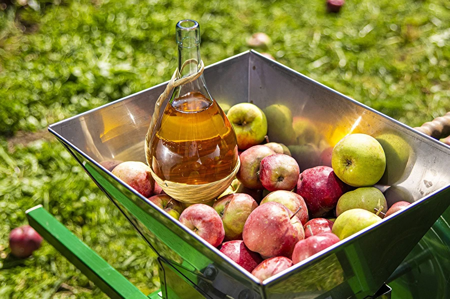 Browin Przepiśnik - Sidra casera