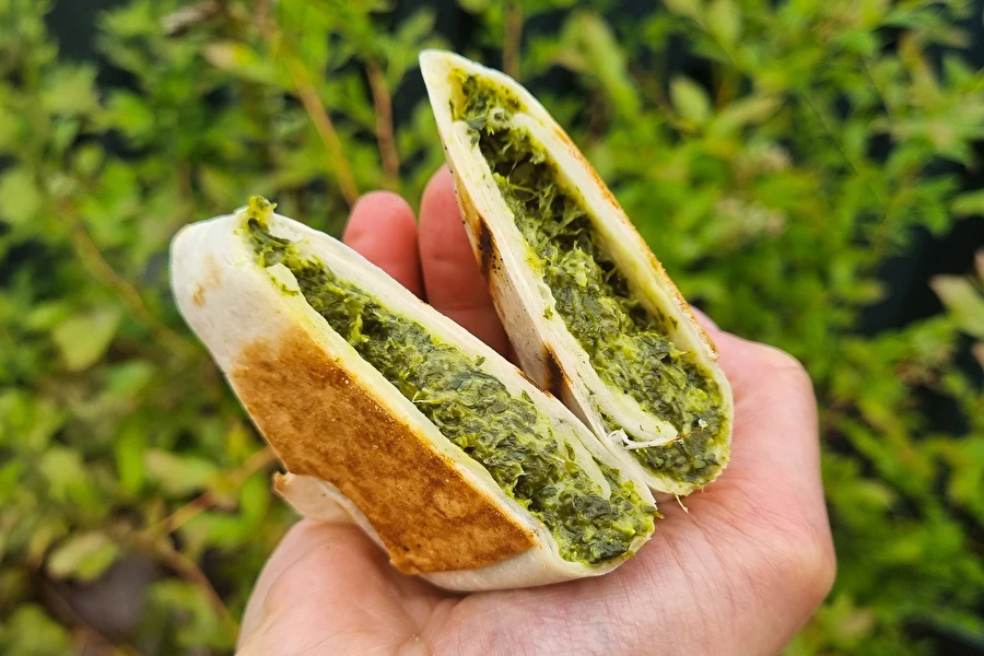 Browin Przepiśnik - Tortillas a la parrilla con espinacas y feta