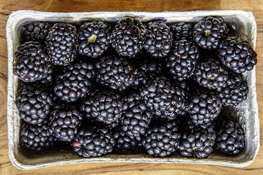 Browin Przepiśnik - Vino casero de moras semidulce